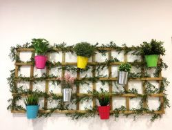 Fotografía: Recepción del Alojamiento Jaén en Madrid